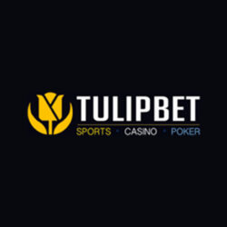 tulipbet